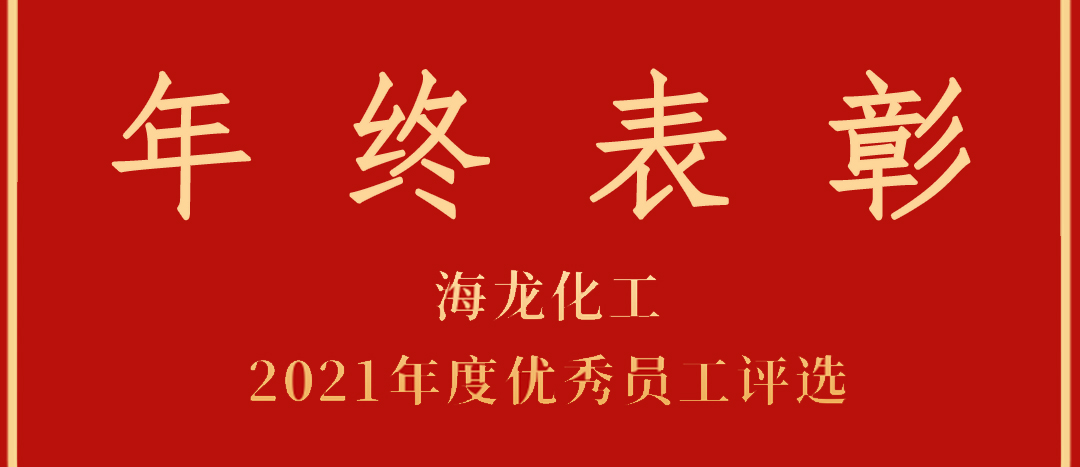 <strong>表彰！海龍化工2021年度優(yōu)秀員工優(yōu)秀部門評選</strong>